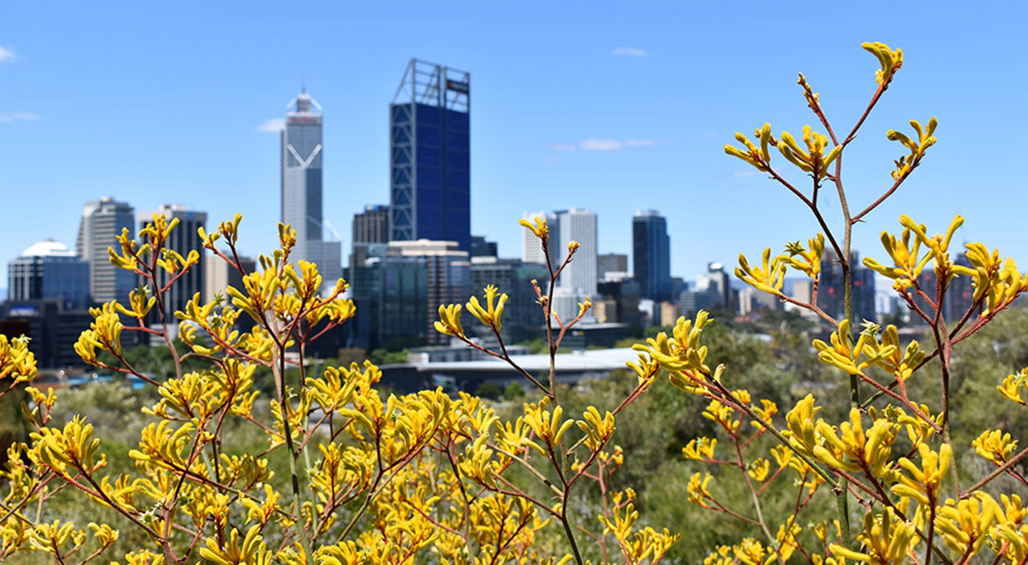 Holiday Inn Perth City Centre By Ihg Dış mekan fotoğraf